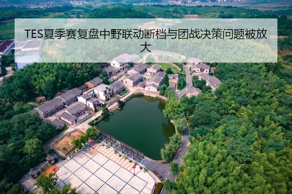 TES夏季赛复盘中野联动断档与团战决策问题被放大